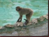 ct1-zoo-06.jpg